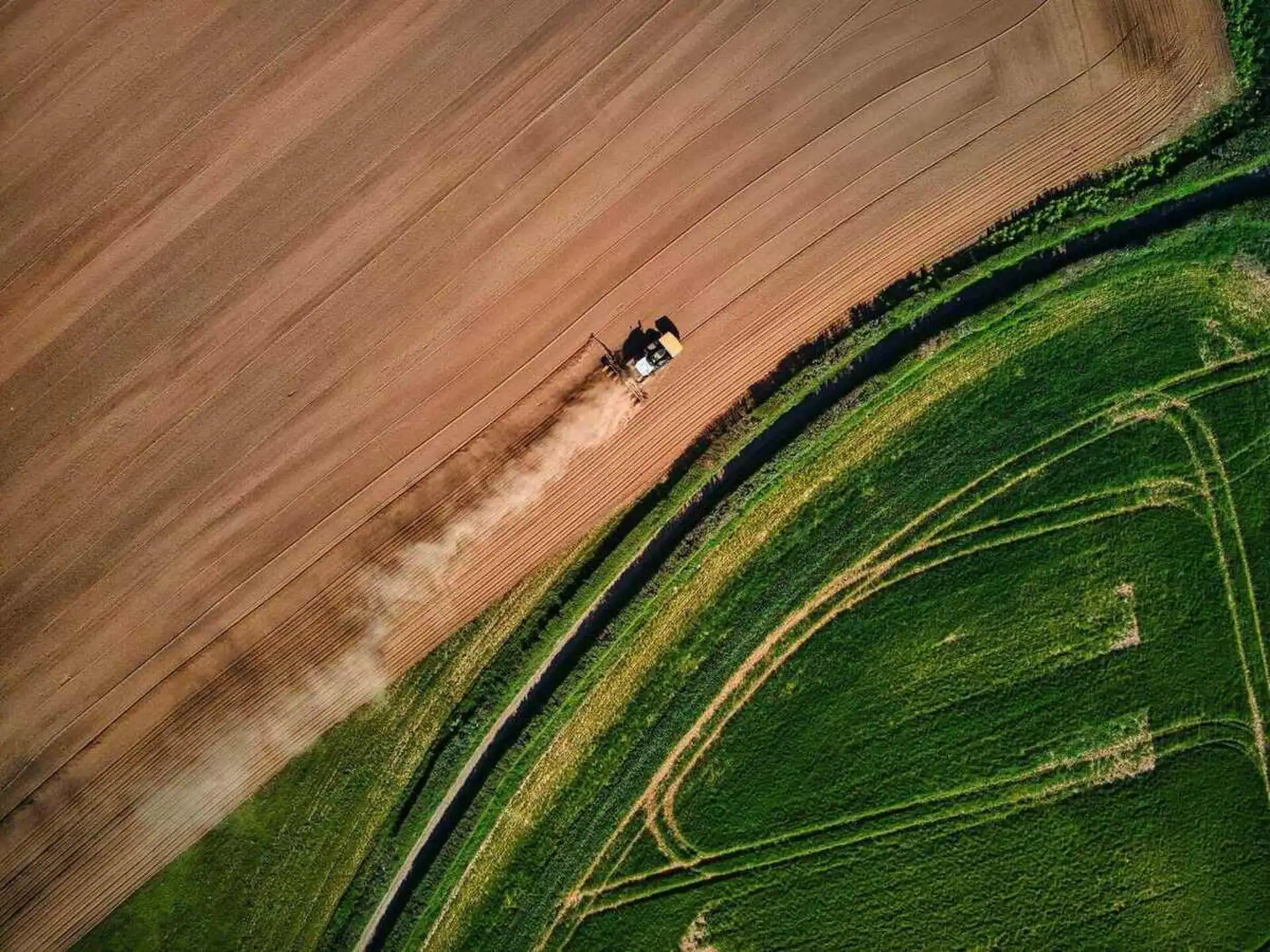 Talhões vistos de cima em cor natural