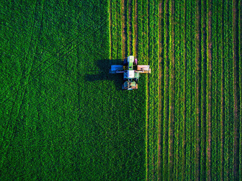 Trator em lavoura brasileira — vista ao nível do solo em cores naturais